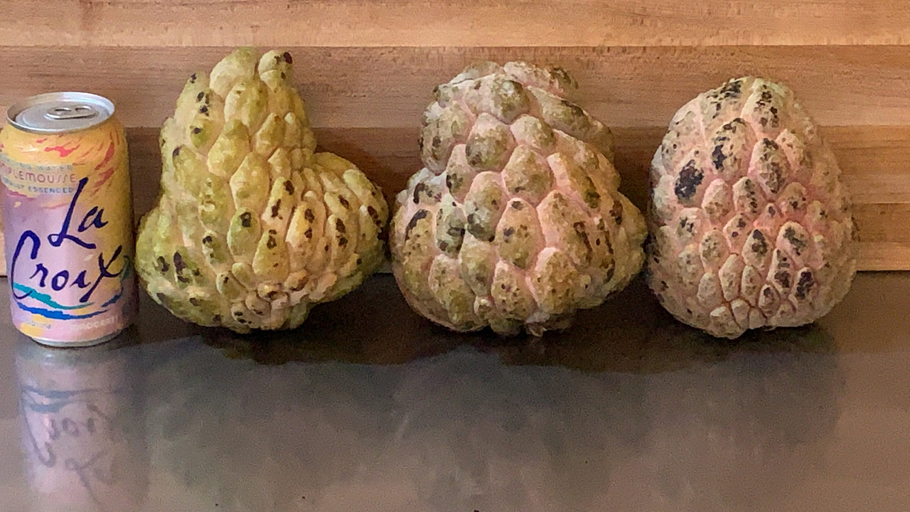 97E02B36-931F-4469-AFEA-7DAEBC4EA13E