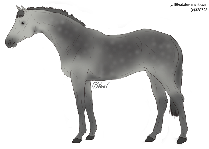 Homestead-cow-mare.png