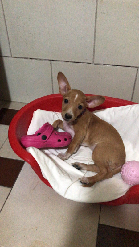 ef2d7f05-2b74-403e-b736-9d63416a01b4