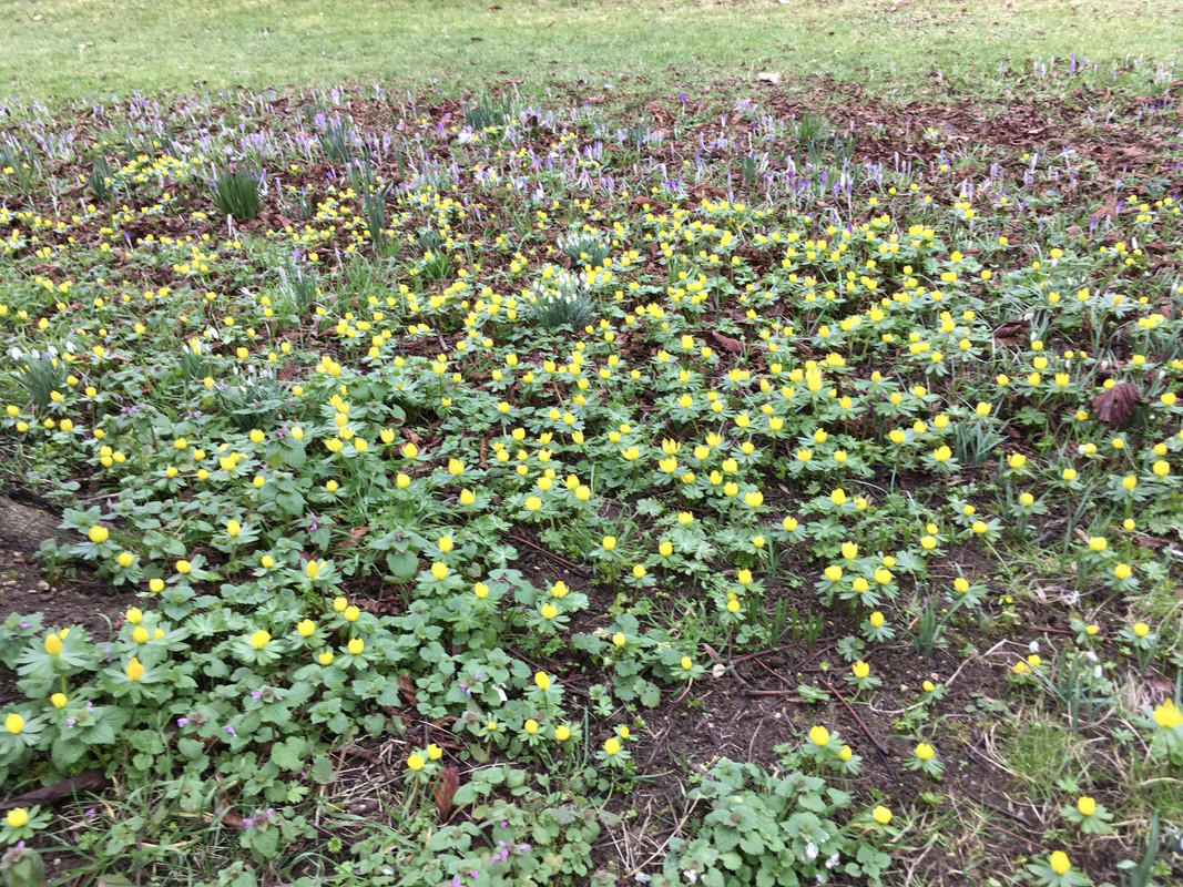 6A6C48A3-00AB-4D17-B1A2-9B00D36FB521