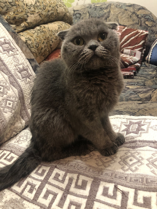 643176E8-A9E5-441E-9CB3-C5CBEEE8A13C