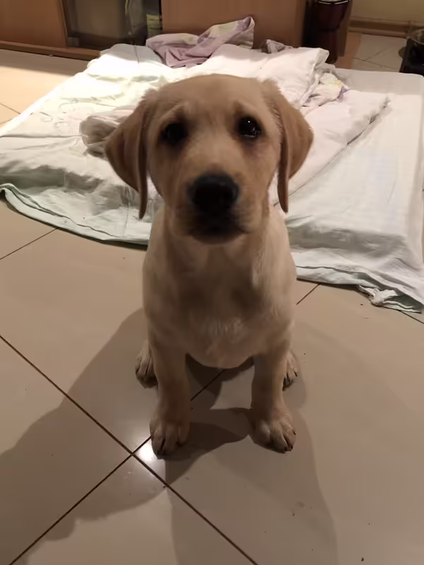 D30F66C8-B55E-4548-B1D3-6449B9F4D092