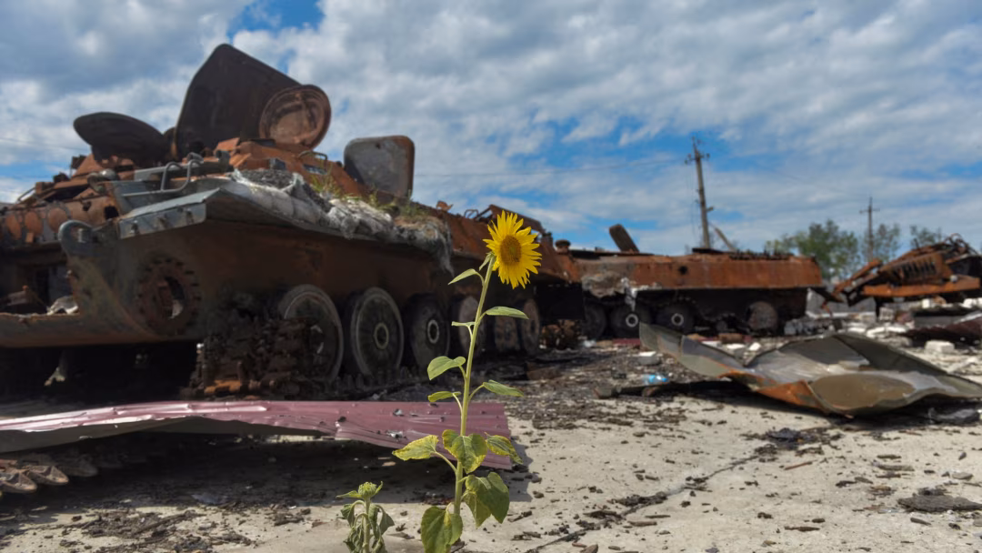 Ярославских военнослужащих и их родных предупреждают о новой легенде мошенников про «безопасный» счет ✓ Новости Рыбинска и не только