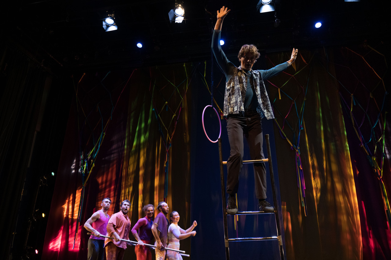 In Human Will ladder photo Johanna Austin