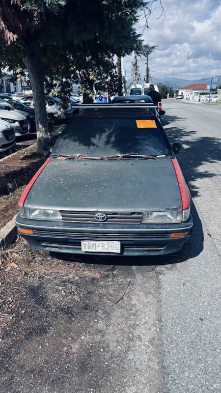 557628293-2416276412143924-7252368700939964627-n