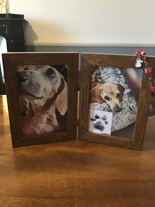 [Image: 24858510-CFC6-4-D64-98-DA-146234-A6-A277.jpg]