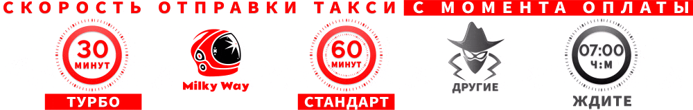 MW-1000x160.gif