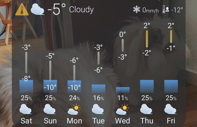 Screenshot 20260131 125627 One UI Home