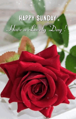 33b8ce75f1b310aded4c4c802fb66f27