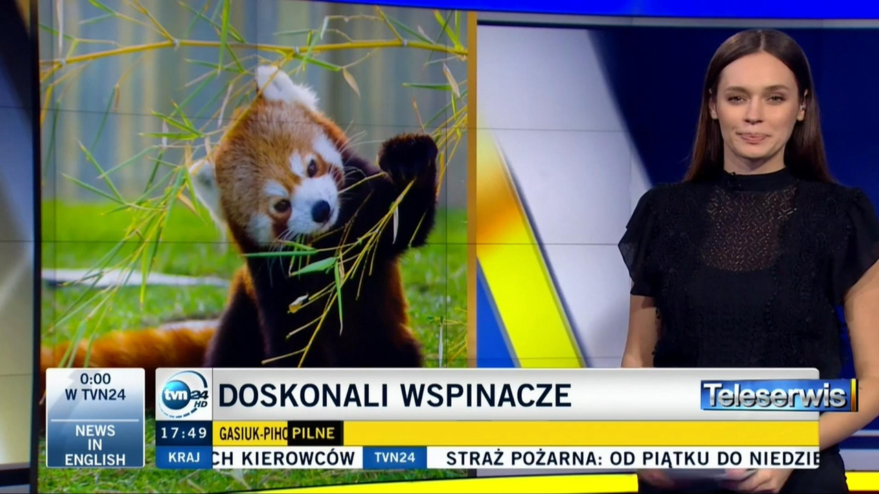 V0323_20191105_063617.mp4_snapshot_08.17_[2019.11.05_17.46.25]