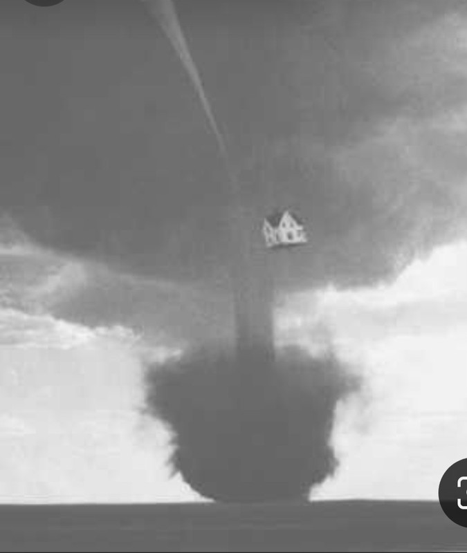 Screenshot_20240216_105127_Pinterest