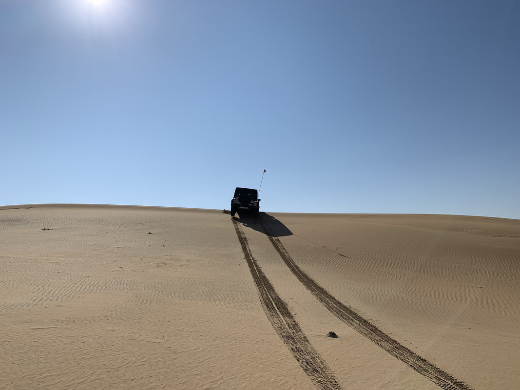 98F6406D-7070-4A78-88DD-70537C6BED7B