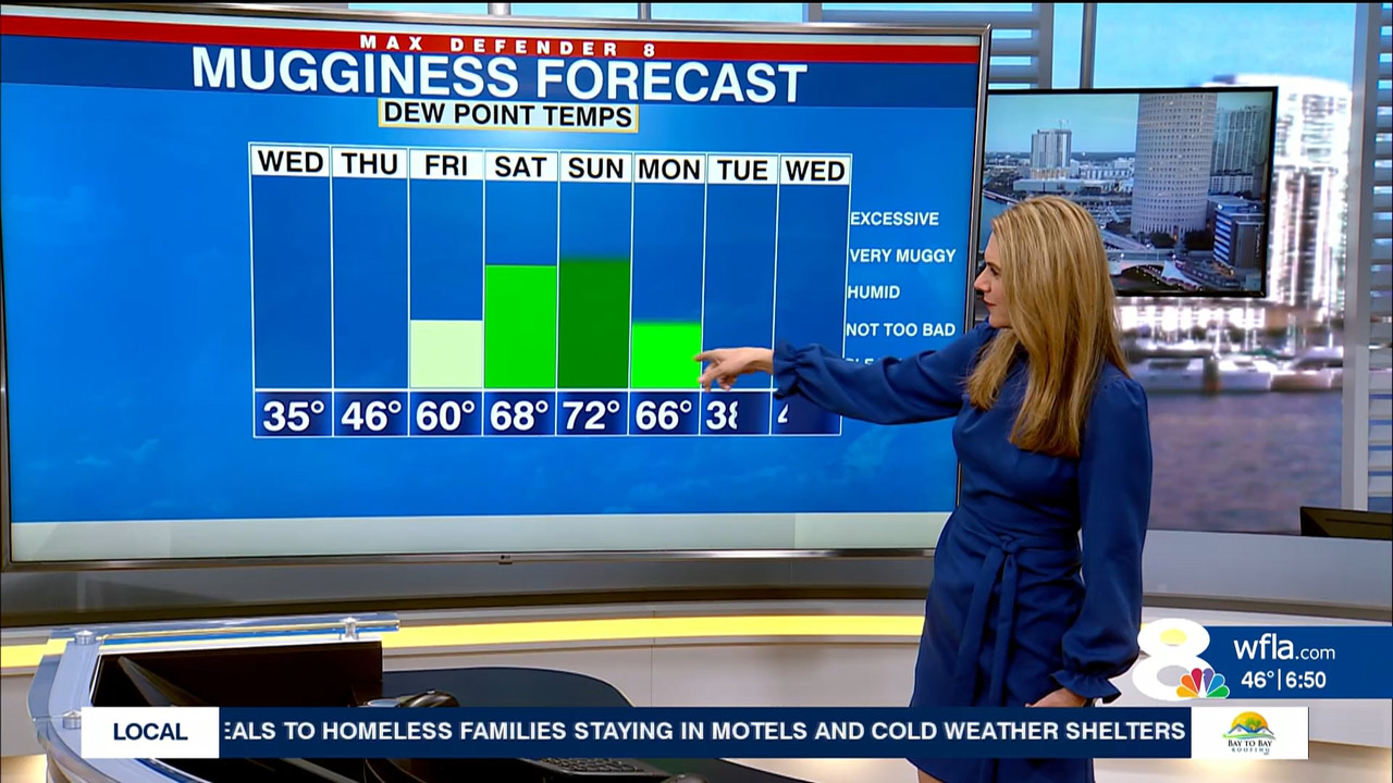NewsChannel 8 Today at 6a_20231129_11001200.ts_snapshot_29.04.956