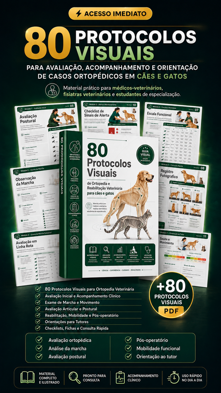 Médico-veterinário atendendo com apoio das protocolos visuais