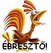 https://i.postimg.cc/BbxxpVzD/ebresztooo.jpg