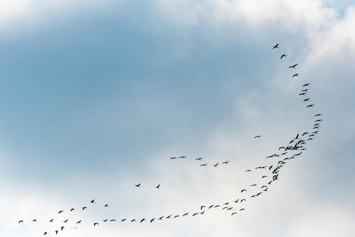 958E31EC-A8C2-43EA-974F-FB930E3BF8D7