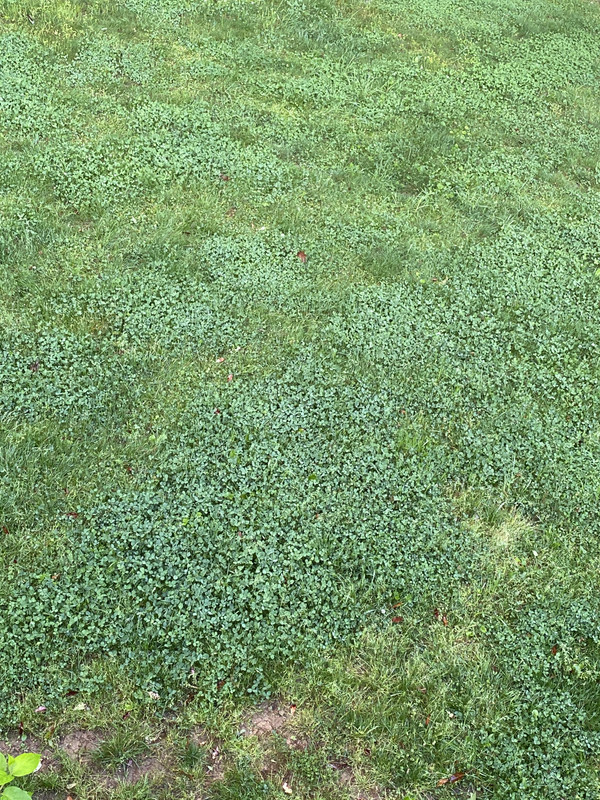 6F1B7AB1-E11A-4FC0-B2F3-F4082EF28929