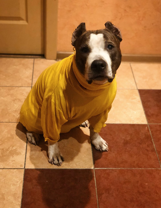 357CA064-0174-4B56-A8D6-514D67A59898