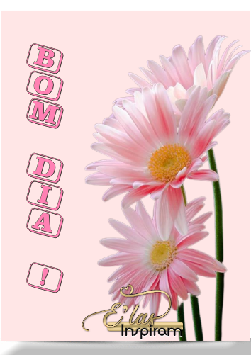 TEXTO11736-MB-maryluz.png