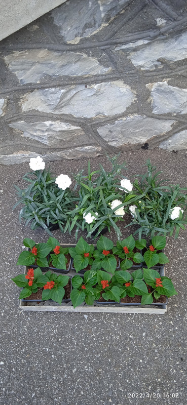 IMG_20220420_160207[1]