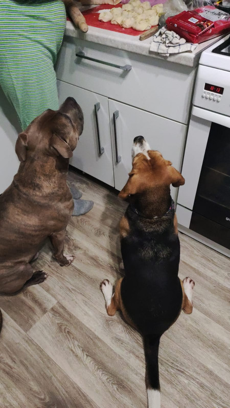 B72E5F2E-C701-4C00-8339-3E6A857D284A