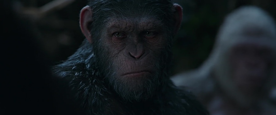 War for the Planet of the Apes 2017 BluRay [Hindi + Tamil + Telugu + English] 480p, 720p, 1080p ESub Screenshot