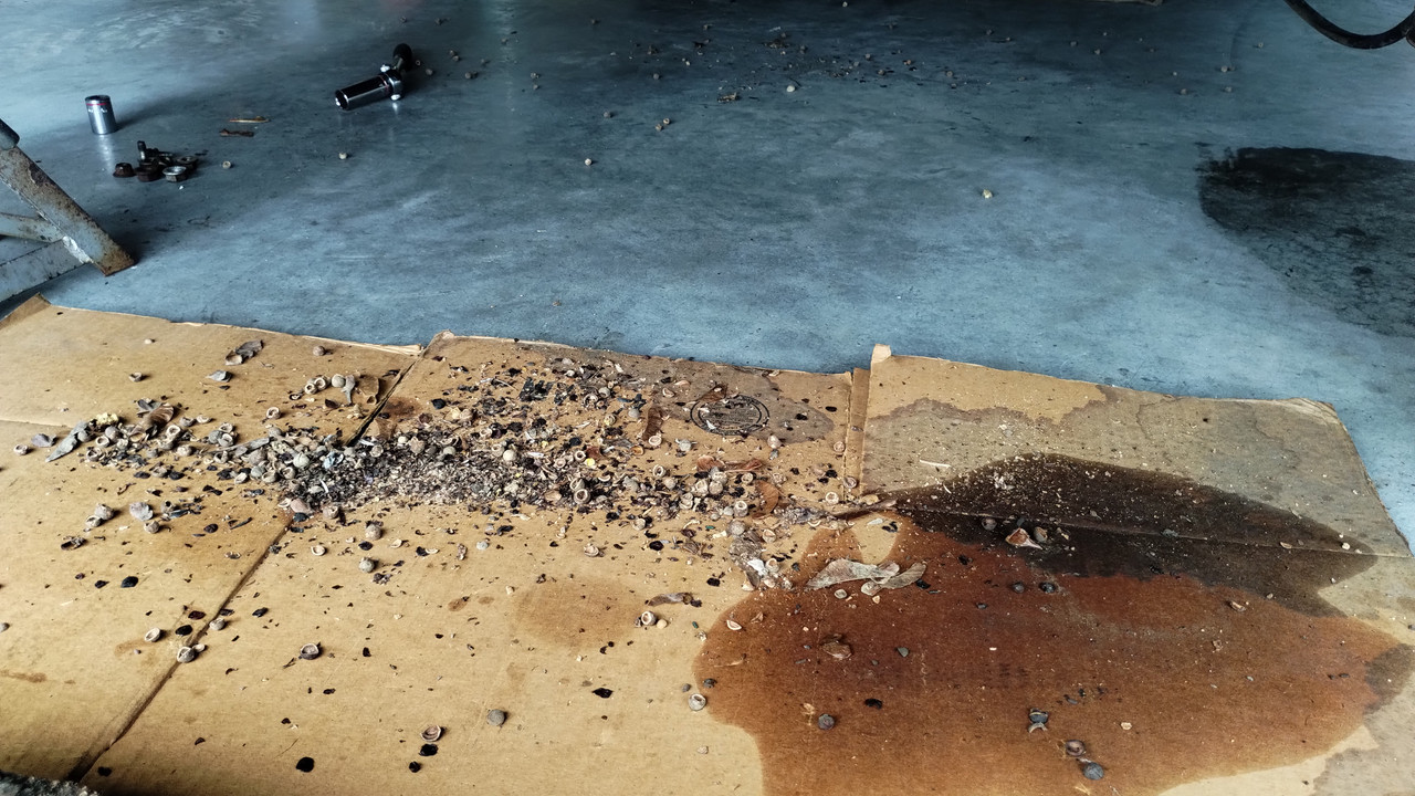 IMG_20240831_103143644