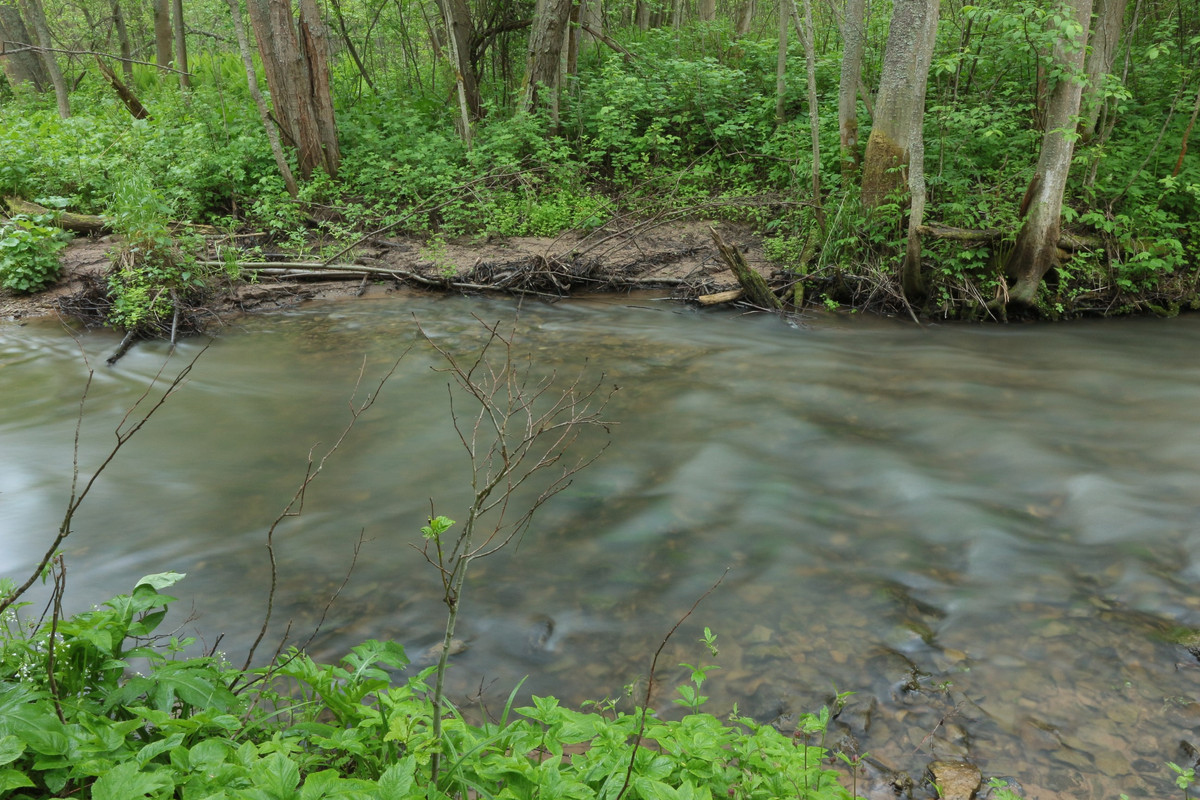 IMG_5581 (2592 x 1728)