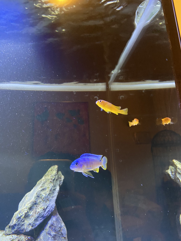 75FAFF94-20D4-4811-8FE4-5B5E7A86678D