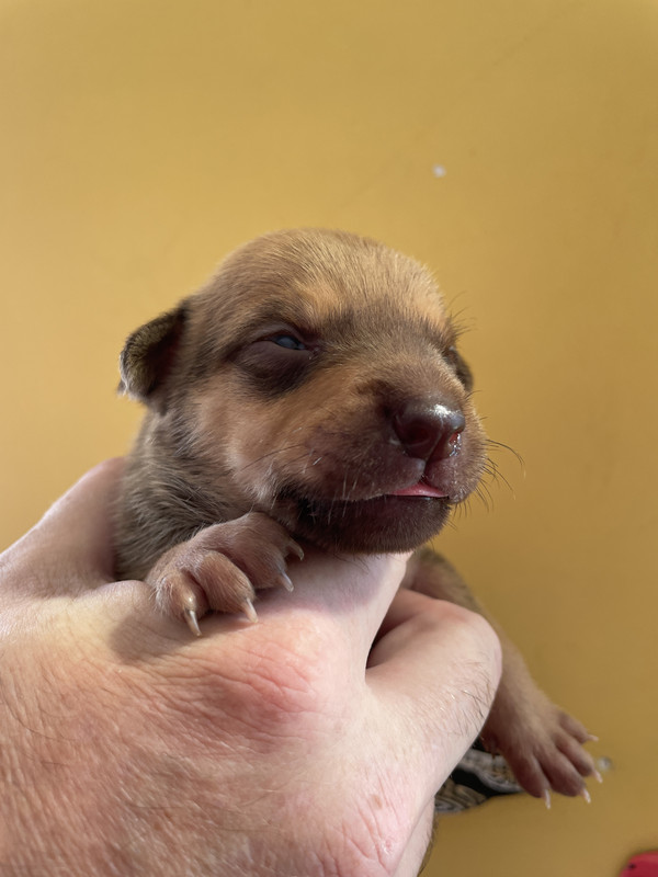 BD118DBA-C9EE-4783-812D-EEAA6F592823