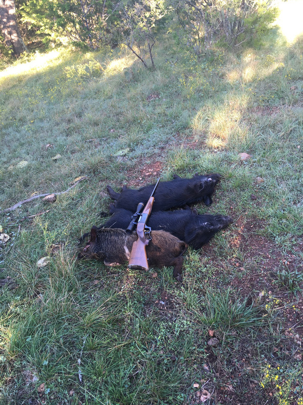 3CB37DF7-0E9C-40C3-8333-34C07FD4514C