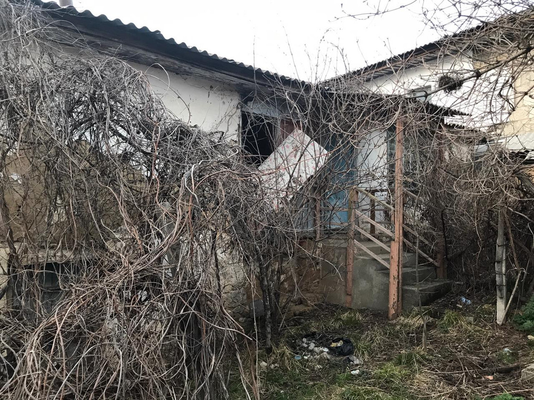 Фото от Alex(5)