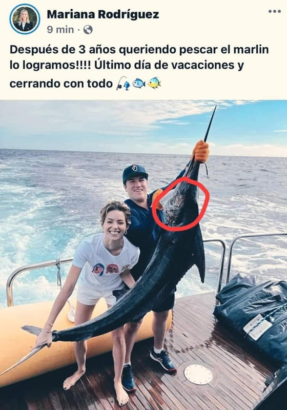 Usuarios tunden a Mariana Rodríguez y Samuel García por captura de pez marlín