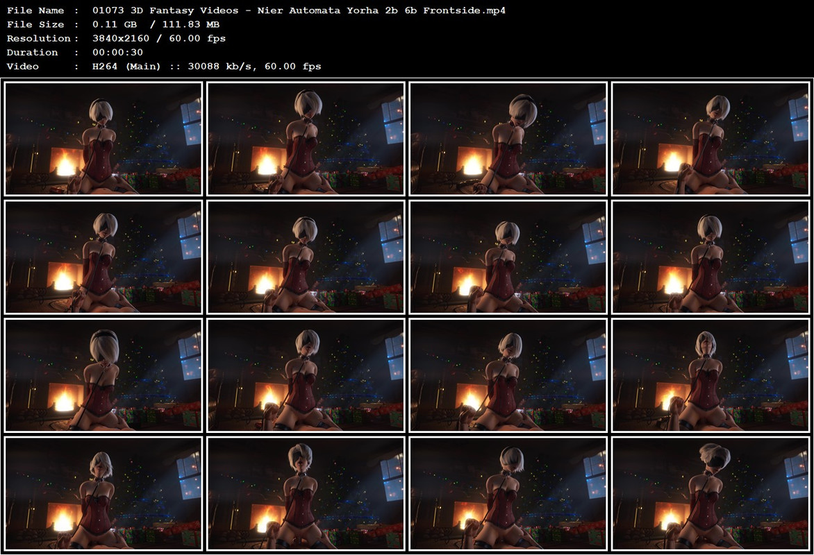 01073 3D Fantasy Videos - Nier Automata Yorha 2b 6b Frontside.mp4
