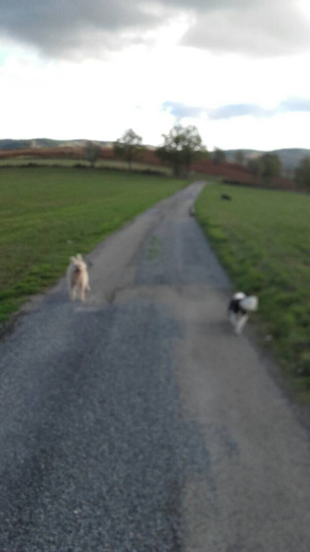 BDE68005-0977-46D7-90FB-3770AE2DA596