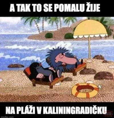 Obrazek