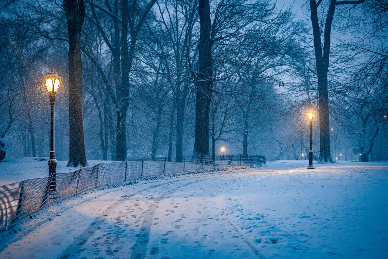 central park snow (10)
