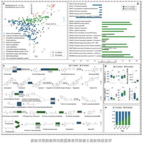 Microbiome:国内科研团队揭示中国汉族人群皮肤微生物组特征-7.png