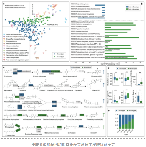 Microbiome：国内科研团队揭示中国汉族人群皮肤微生物组特征-7.png