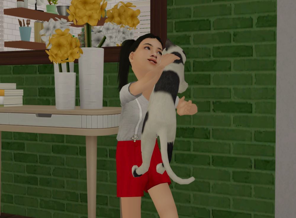 Sims2-EP9-RPC-2022-03-27-23-50-07-11