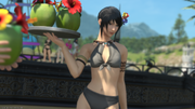 ffxiv_20250815_193301_174