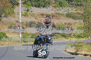 IMG-2962