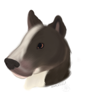 Untitled110_20210124102304