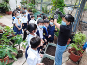 photo-littlefarmer2223-1A-006