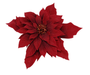 BC-Are-We-Thinking-Xmas-Elem-105