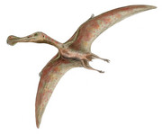 https://i.postimg.cc/BjCy7shP/Ornithocheirus-BW.jpg