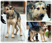 Be-Funky-collage-25.jpg&key=02552a075842