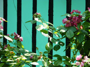 photo 7 2025 12 27 21 08 38