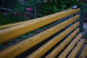DSC00461