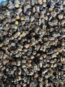 [Obrázky: IMG-6072.jpg]